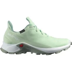 Salomon Alphacross 3 Goretex Trail Running Shoes